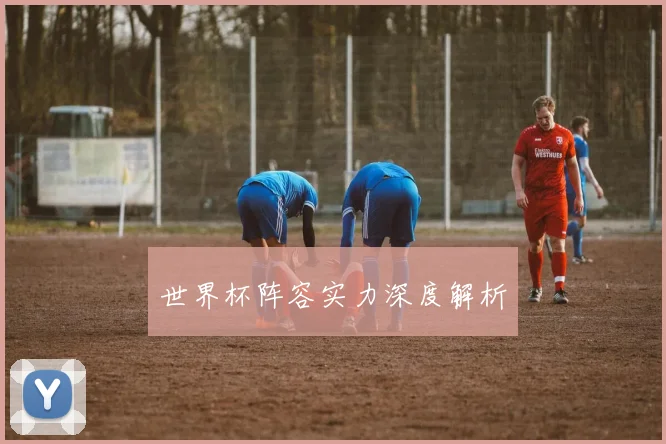 世界杯阵容实力深度解析