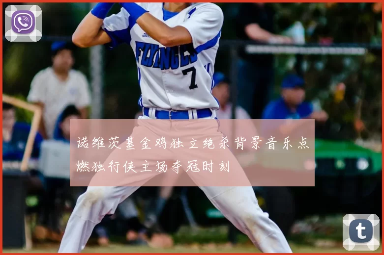 诺维茨基金鸡独立绝杀背景音乐点燃独行侠主场夺冠时刻