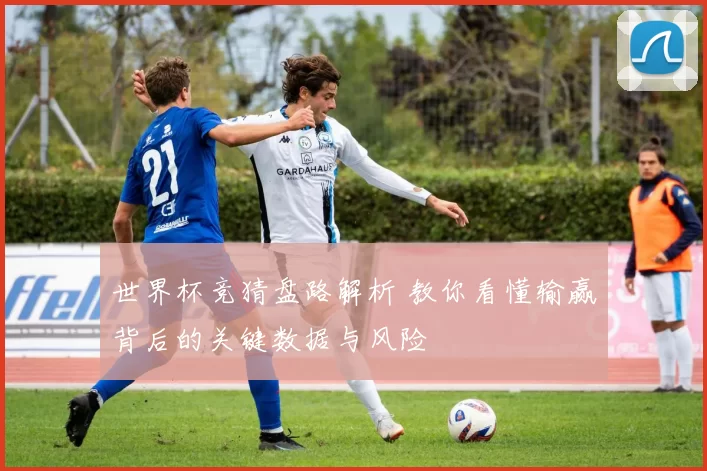 世界杯竞猜盘路解析 教你看懂输赢背后的关键数据与风险