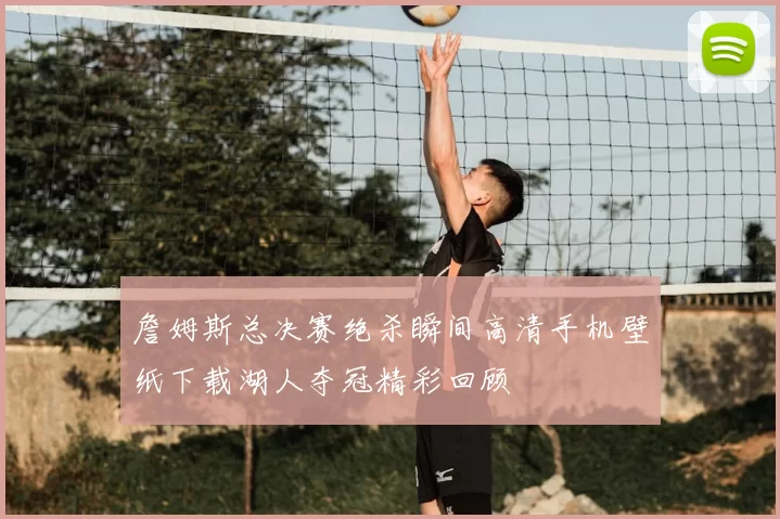 詹姆斯总决赛绝杀瞬间高清手机壁纸下载湖人夺冠精彩回顾