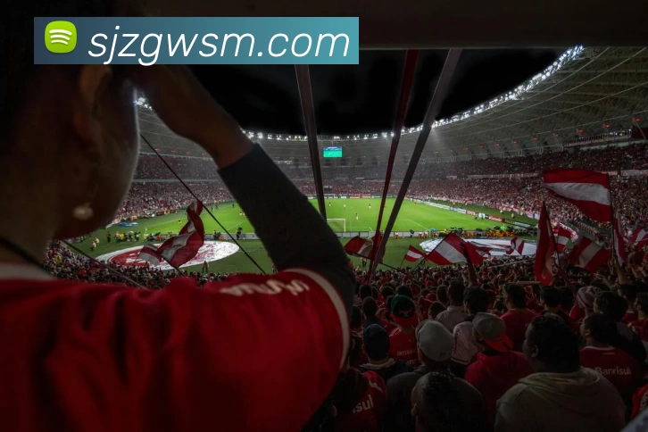 银河·国际GALAXY(中国)品牌故事